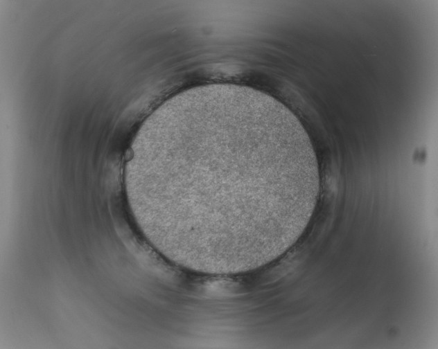 X0000112090468200909151140