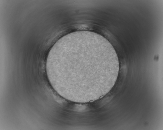 X0000112090469200909151140
