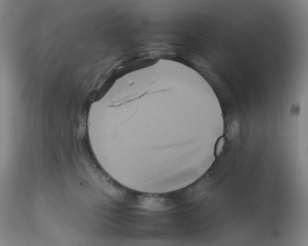 X0000112090471200909151140