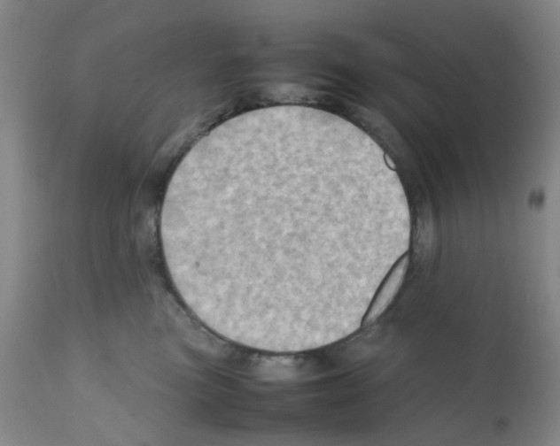 X0000112090473200909151140