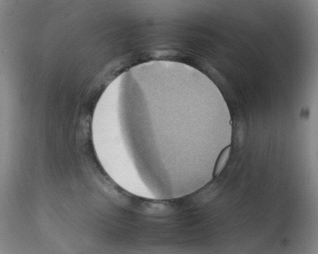 X0000112090475200909151140
