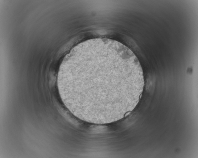 X0000112090476200909151140