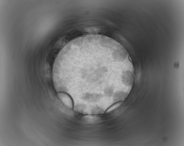 X0000112090477200909151140