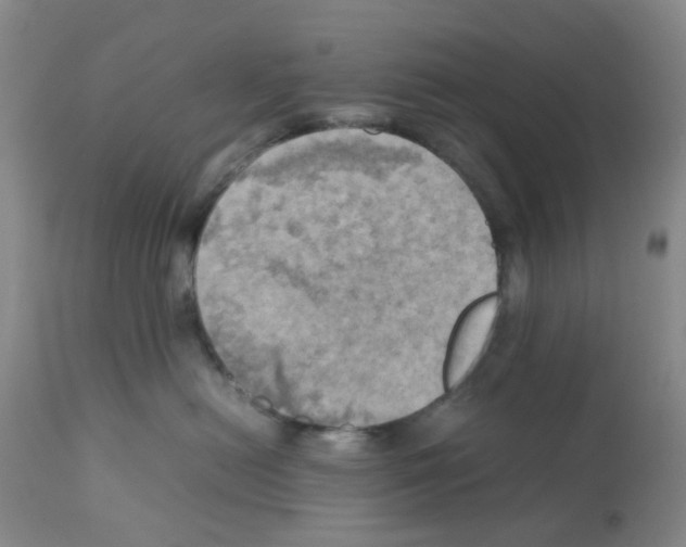 X0000112090478200909151140