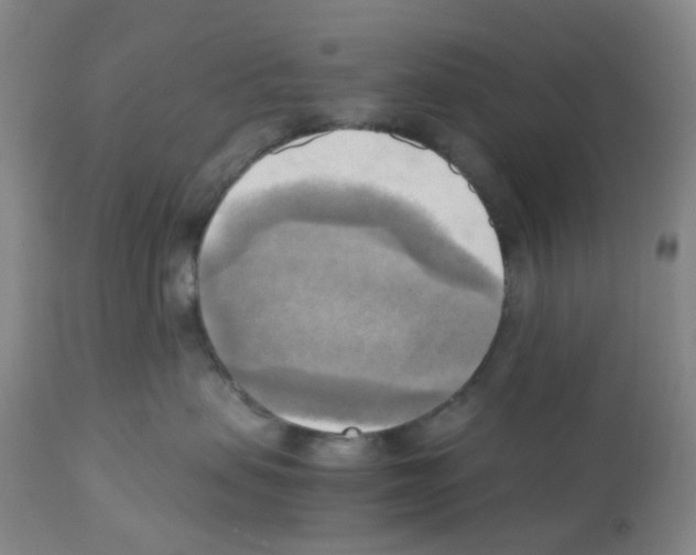 X0000112090479200909151140