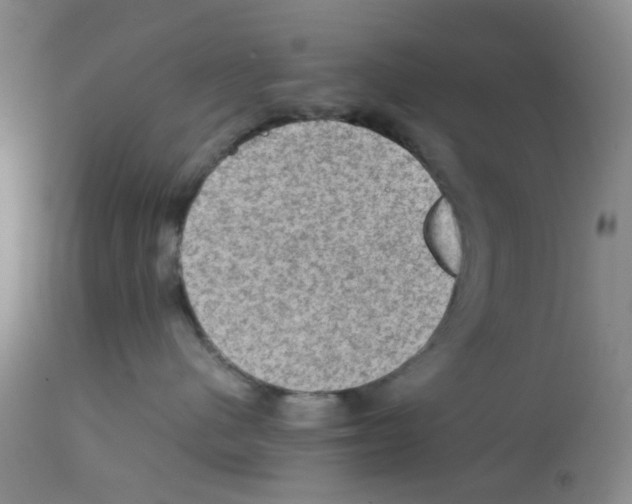 X0000112090480200909151140