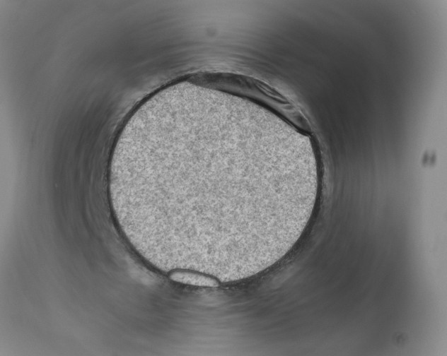 X0000112090481200909151140