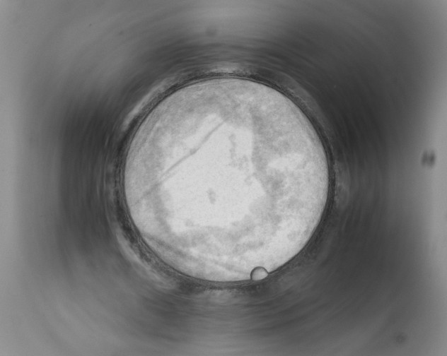 X0000112090482200909151140