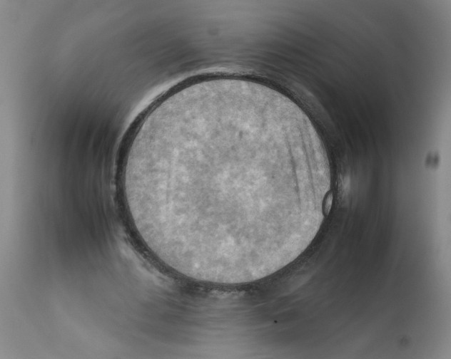 X0000112090484200909151140