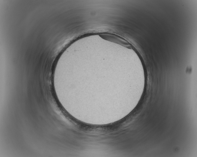 X0000112090485200909151140