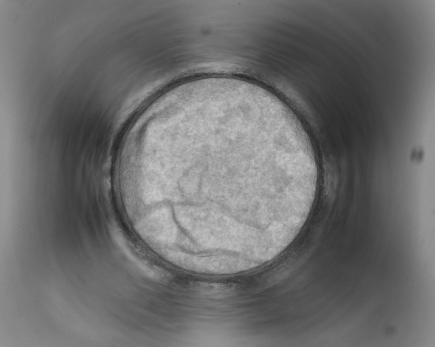 X0000112090486200909151140
