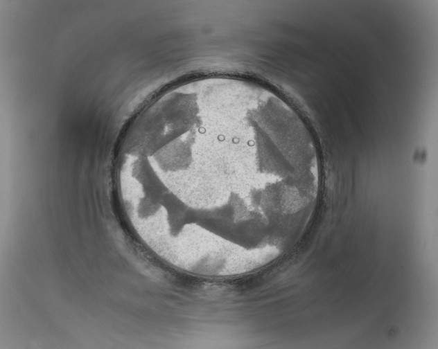 X0000112090487200909151140