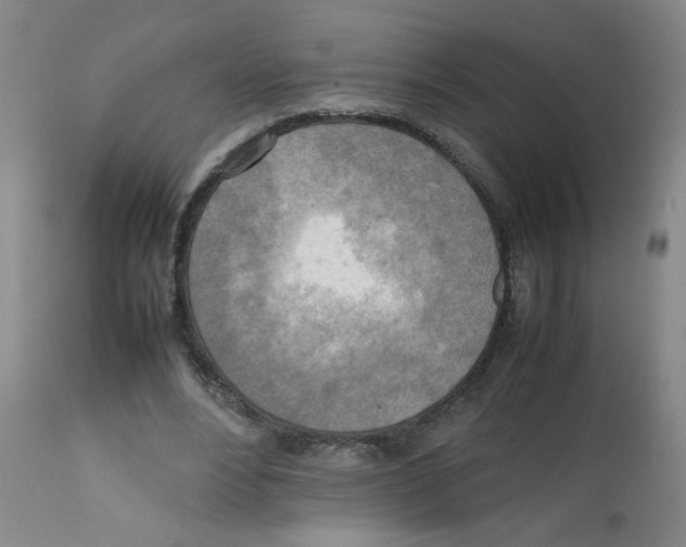 X0000112090488200909151140