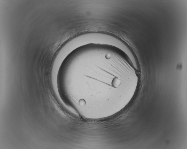 X0000112090489200909151140
