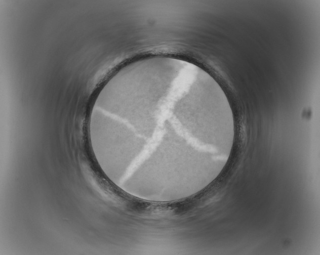X0000112090491200909151140