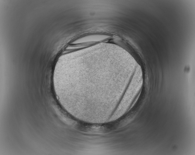 X0000112090493200909151140