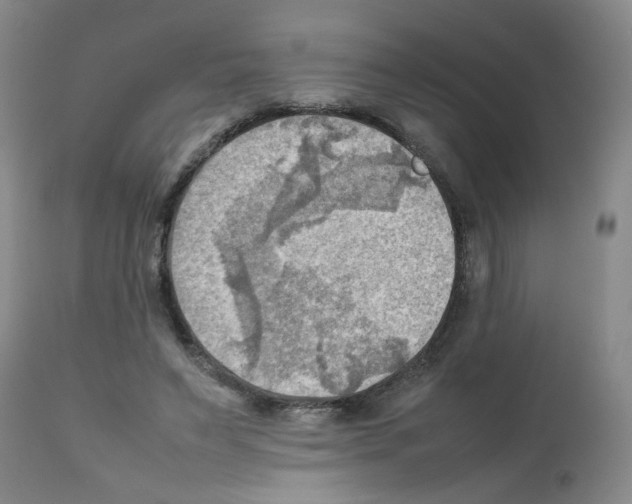 X0000112090495200909151139