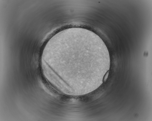 X0000112090496200909151139