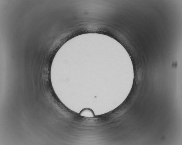 X0000112090497200909151139