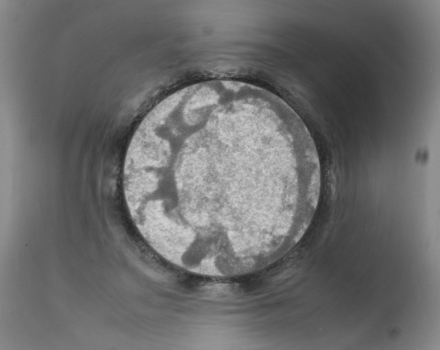 X0000112090499200909151139