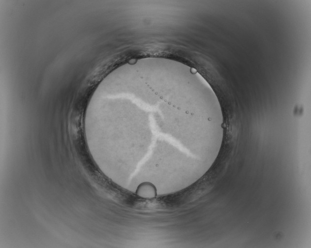 X0000112090503200909151139