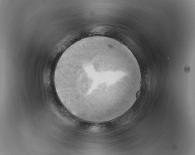 X0000112090504200909151139