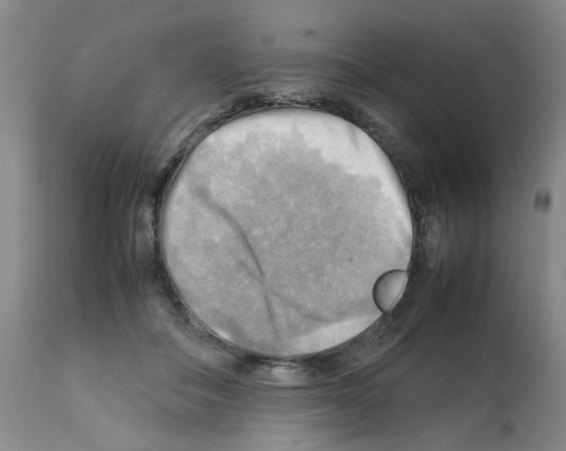 X0000112090506200909151139