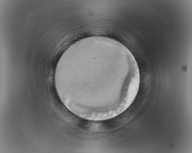 X0000112090507200909151139