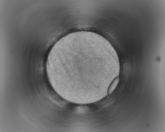 X0000112090508200909151139