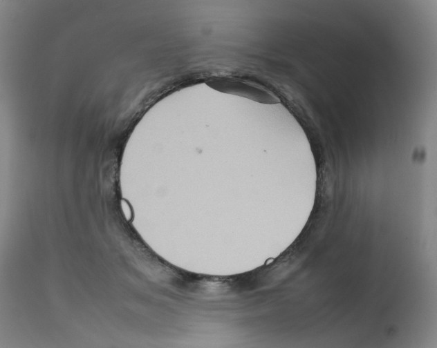 X0000112090509200909151139