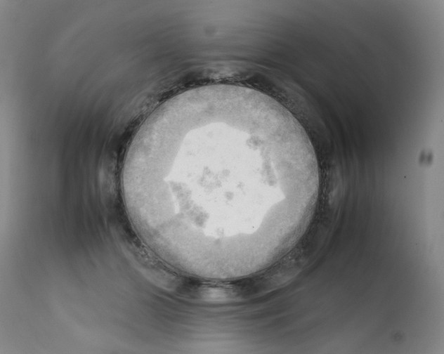 X0000112090510200909151139