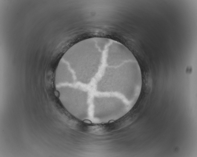 X0000112090511200909151139