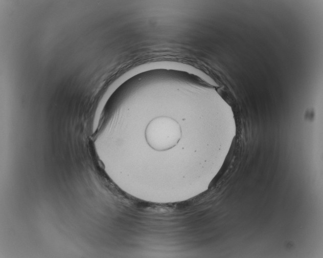 X0000112090512200909151139