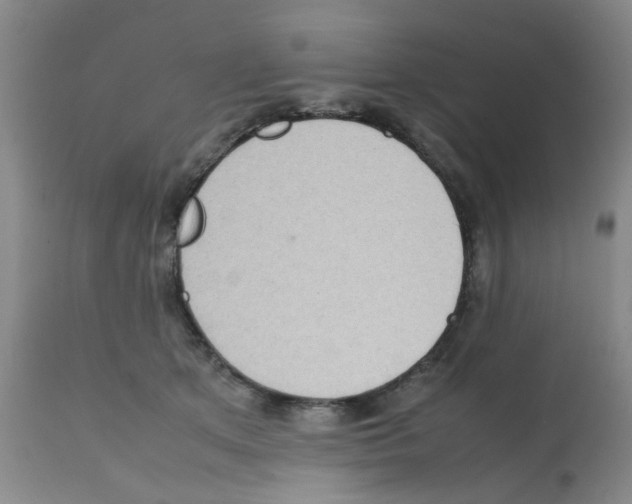 X0000112090513200909151139