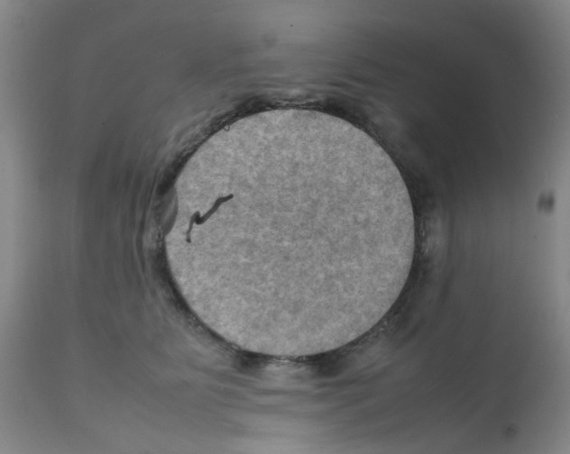 X0000112090515200909151139
