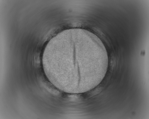 X0000112090516200909151139