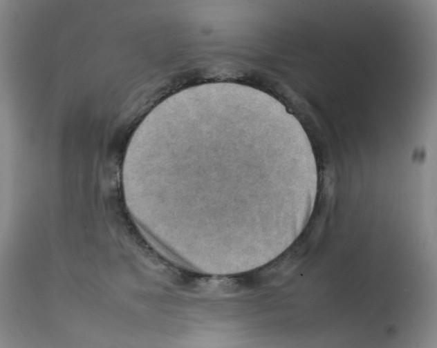 X0000112090517200909151139