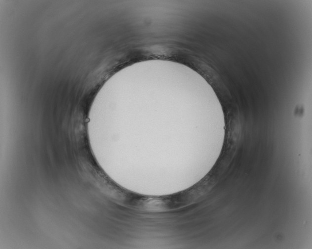 X0000112090518200909151139