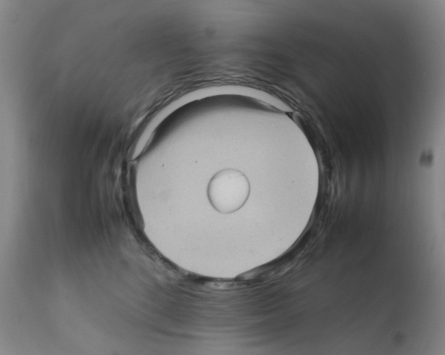 X0000112090520200909151139