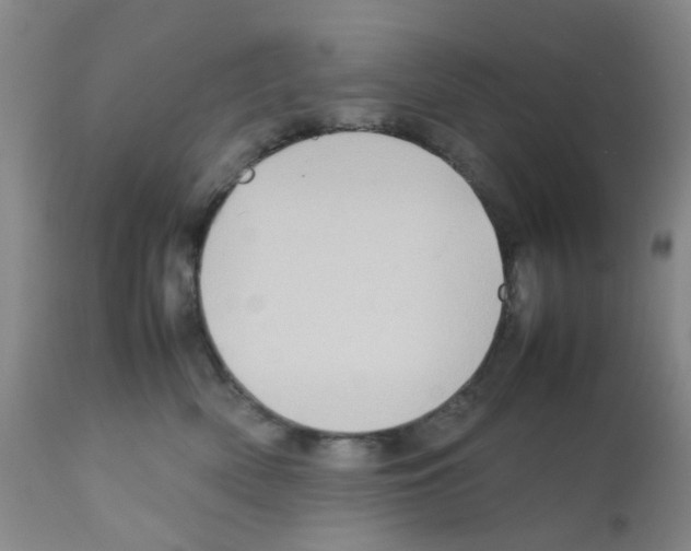 X0000112090522200909151139