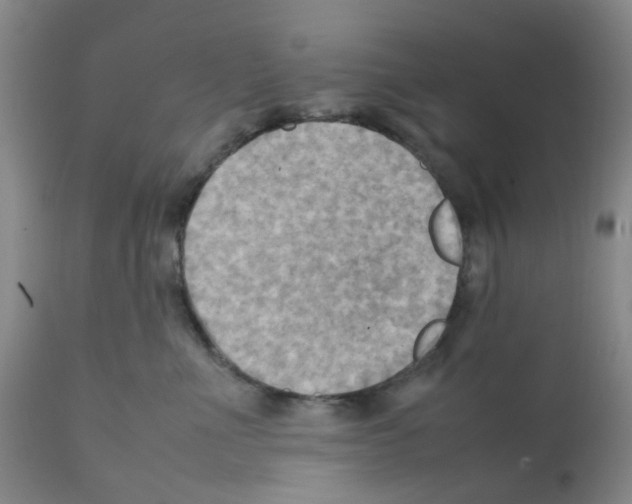 X0000112090523200909151139