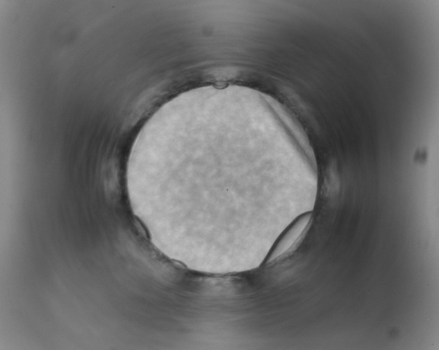 X0000112090524200909151139