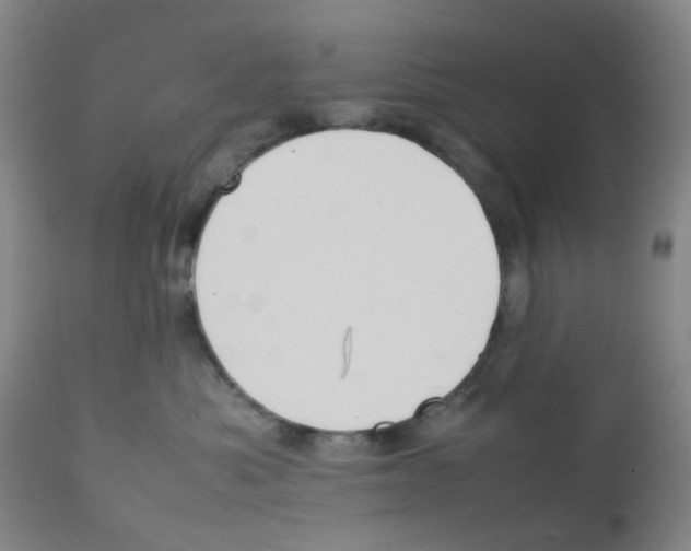 X0000112090525200909151139