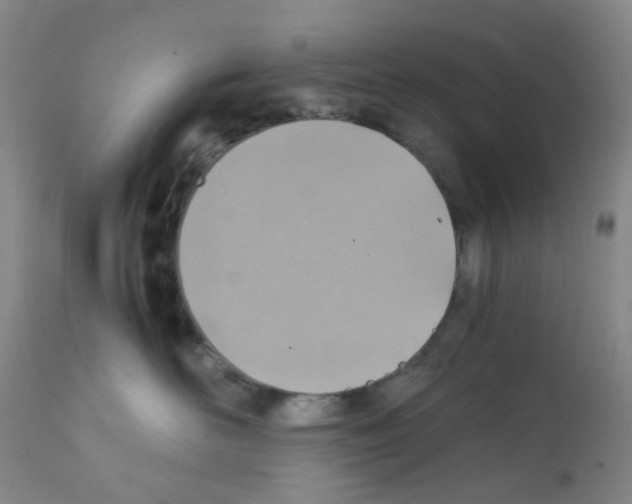 X0000112090526200909151139