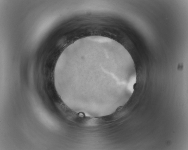 X0000112090527200909151139