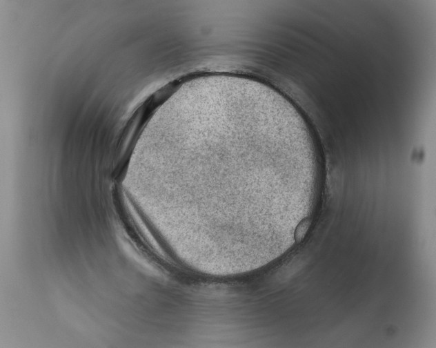 X0000112090530200909151138