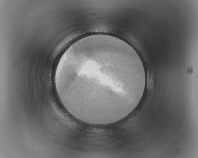 X0000112090531200909151138