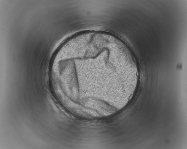 X0000112090532200909151138