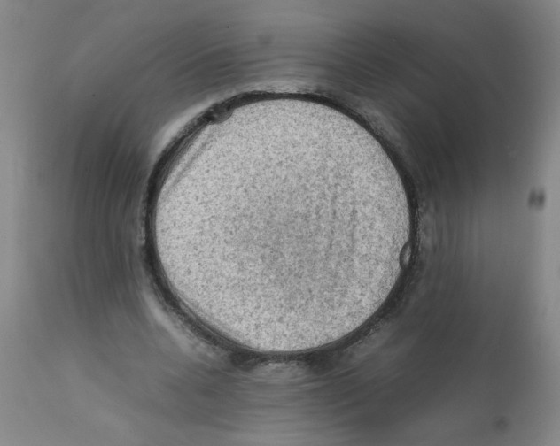 X0000112090536200909151138