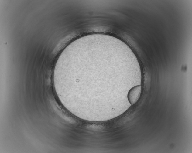 X0000112090537200909151138